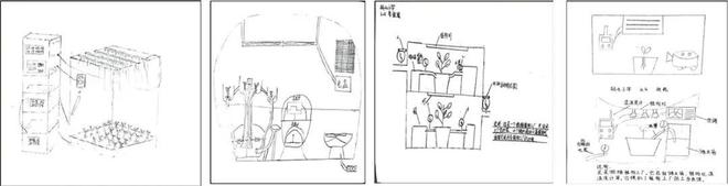 新爱体育一等奖 植物工厂——水培绿蔬实践主题微项目式学习设计（续）(图2)